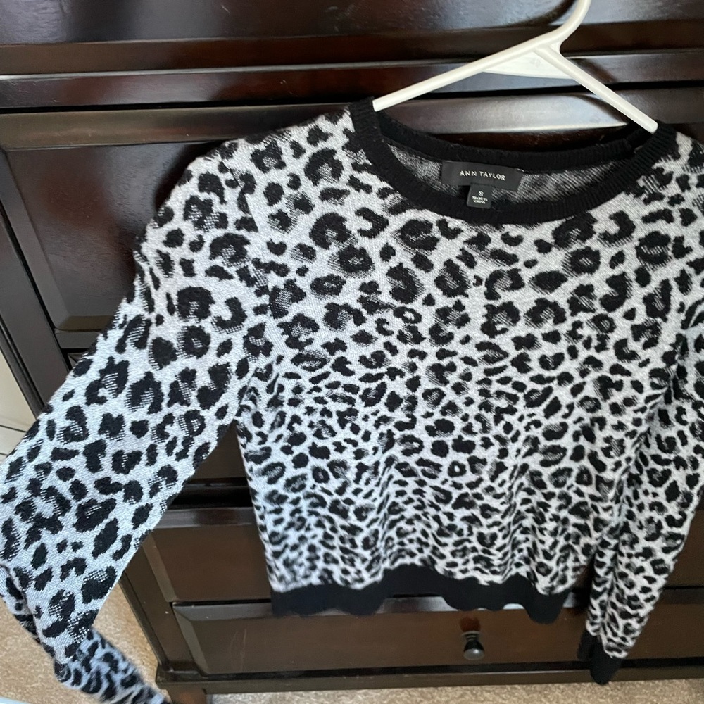 Ann Taylor sweater